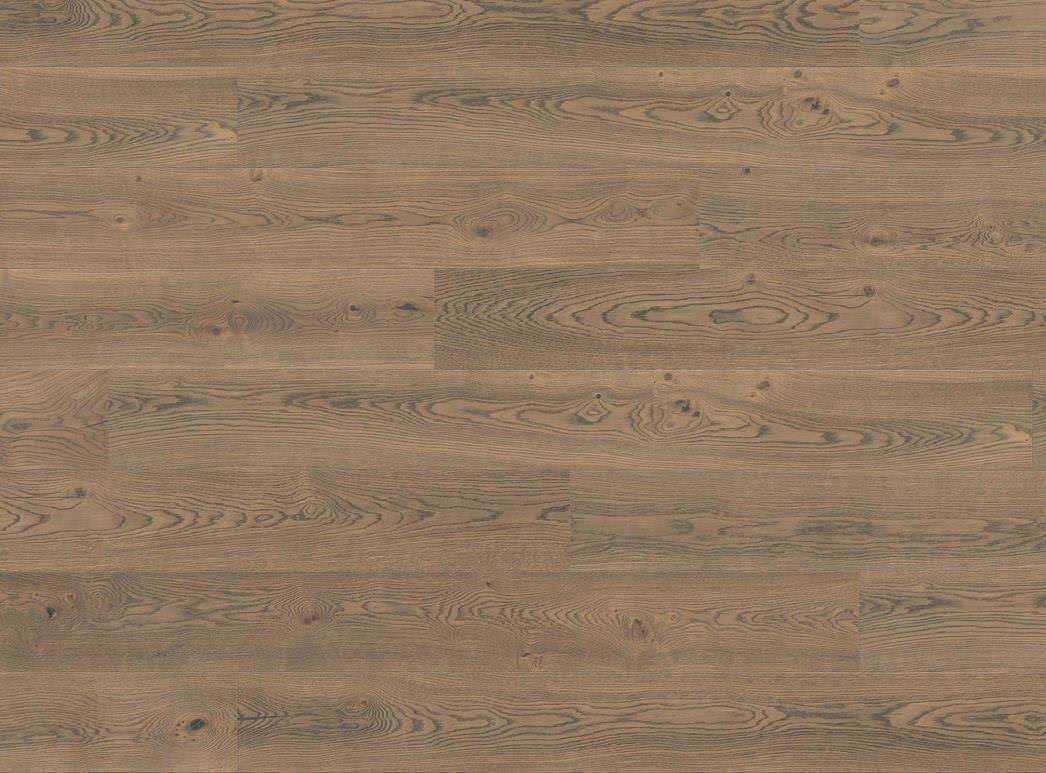 Haro汉诺 PARKETT 4000 橡木 烟草灰 大板 Plaza 240mm宽 538967 4