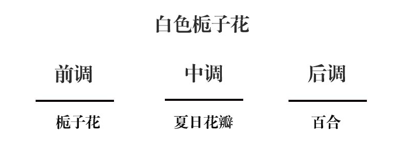 Cote Noire GML18528 185g金标蜡烛白色栀子花 2
