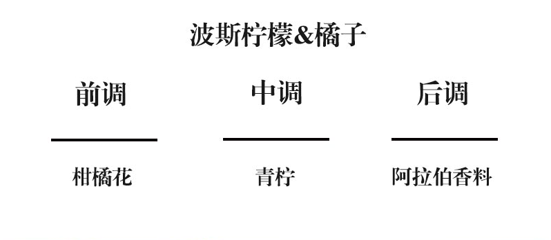 Cote Noire GML30001 300g 圆形蓝色艺术蜡烛-波斯柠檬橘子 2