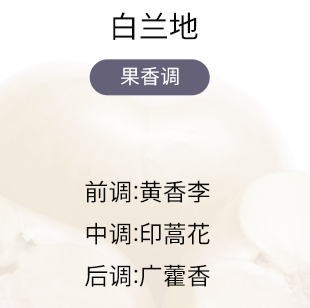 Cote Noire GML30006 300g 圆形半透蓝色艺术蜡烛-白兰地 2
